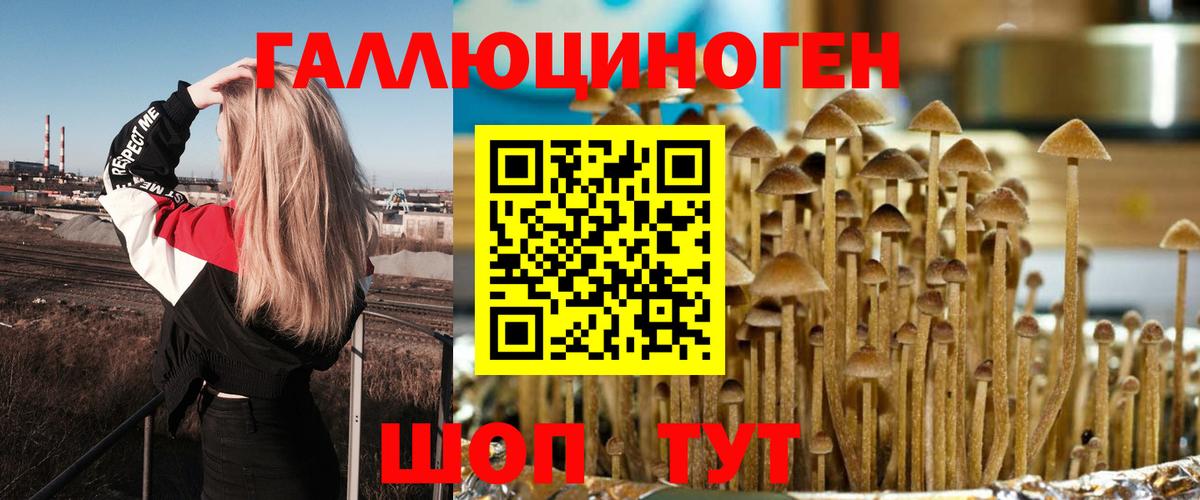 Псилоцибиновые грибы Cubensis  Галлюциногенные грибы Cubensis  Владимир  Вход с VPN 