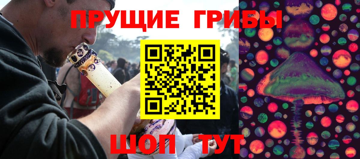 Псилоцибиновые грибы Psilocybe Владимир